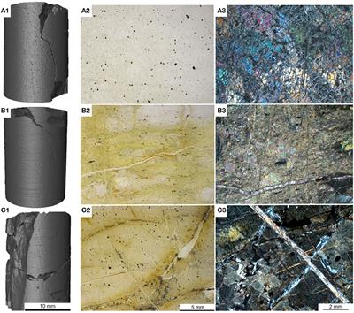 An Experimental Study of the Carbonation of Serpentinite and Partially Serpentinised Peridotites